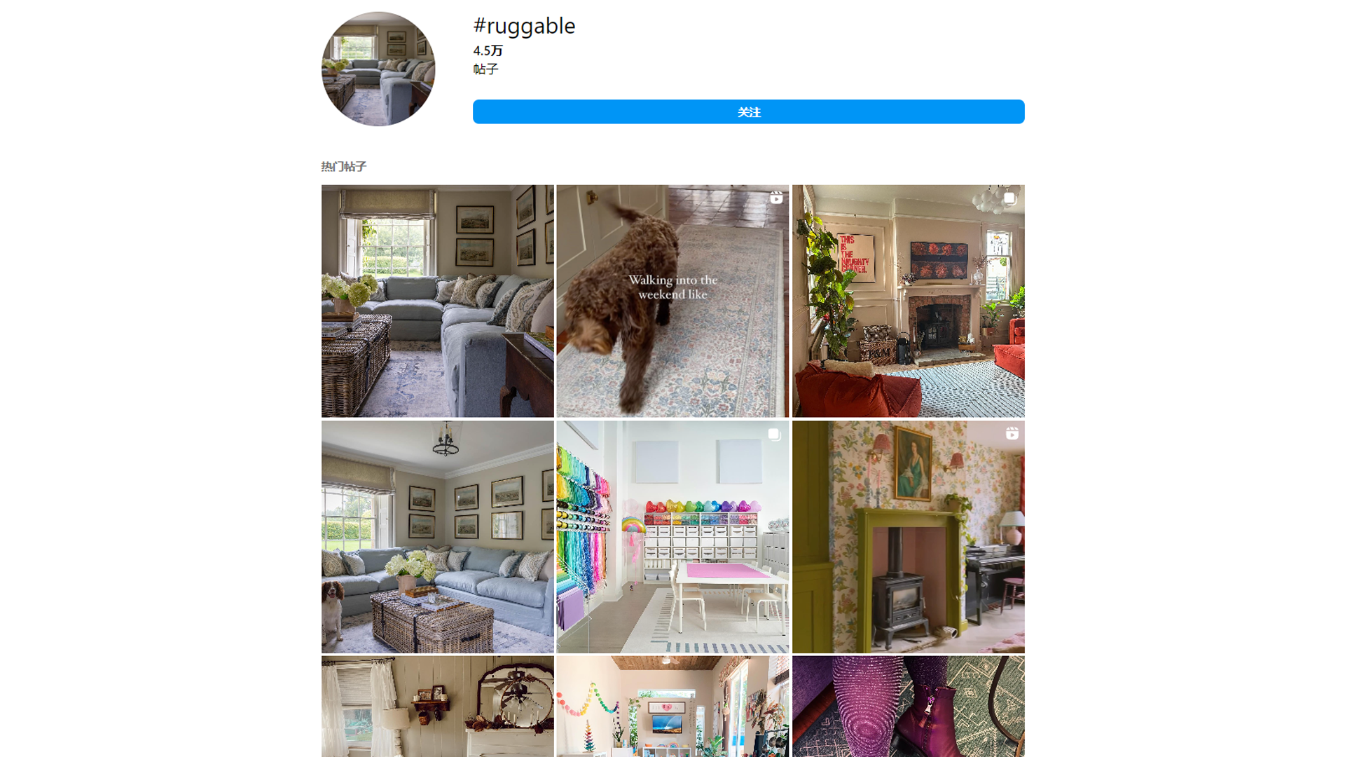 最会海外营销的地毯品牌?ruggable如何抓住爆品密码！