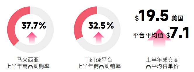 《2024上半年tiktok电商数据报告》解析 美国市场深度透视
