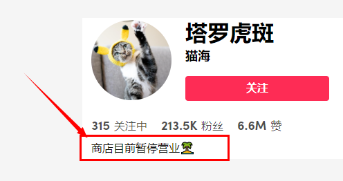 都是“铲屎官”，凭啥人家能卖到断货？4634亿观看，深度拆解tk宠物号的变现全过程