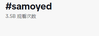 都是“铲屎官”，凭啥人家能卖到断货？4634亿观看，深度拆解tk宠物号的变现全过程