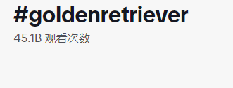 都是“铲屎官”，凭啥人家能卖到断货？4634亿观看，深度拆解tk宠物号的变现全过程