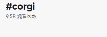 都是“铲屎官”，凭啥人家能卖到断货？4634亿观看，深度拆解tk宠物号的变现全过程