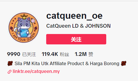 都是“铲屎官”，凭啥人家能卖到断货？4634亿观看，深度拆解tk宠物号的变现全过程