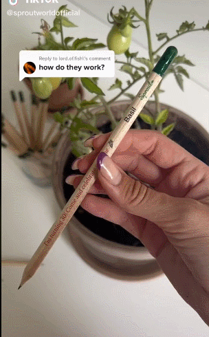 “种植铅笔”在tiktok爆红！品牌一个月吸粉10万