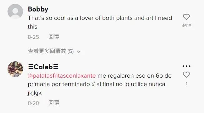 tk爆款“可种植铅笔”获千万播放，亚马逊断货，铅笔还能这么玩儿?