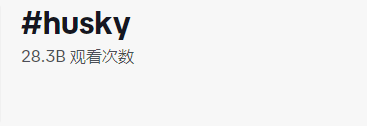 都是“铲屎官”，凭啥人家能卖到断货？4634亿观看，深度拆解tk宠物号的变现全过程